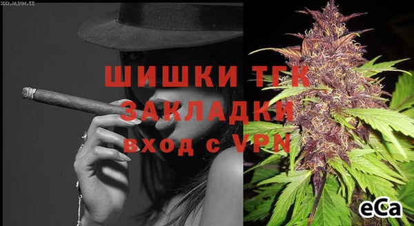 сатива Горнозаводск